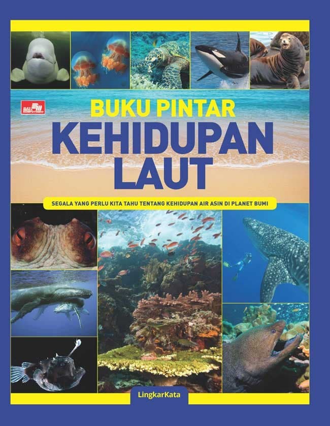 Detail Kehidupan Di Laut Nomer 14