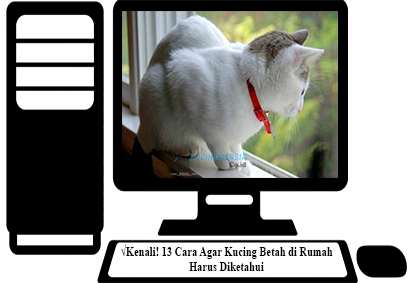 Detail Kenapa Kucing Betah Di Rumah Kita Nomer 22