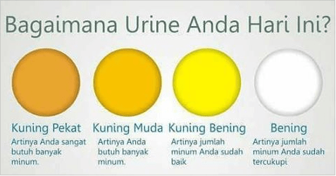 Detail Kenapa Pipis Warna Kuning Nomer 3