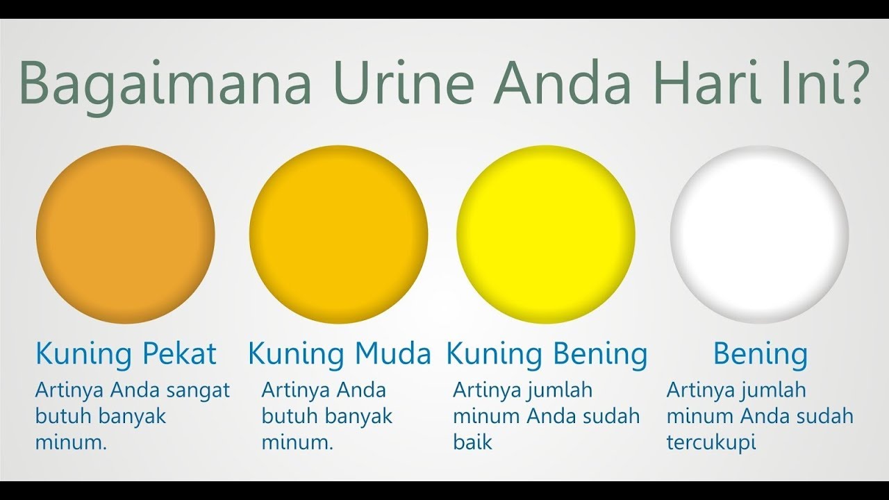 Detail Kenapa Pipis Warna Kuning Nomer 25