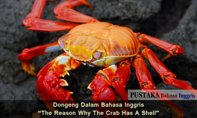 Detail Kepiting Bahasa Inggris Nomer 3