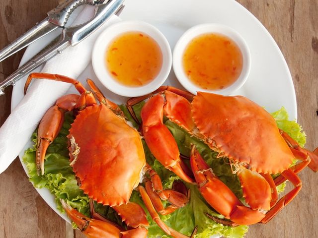 Detail Kepiting Makan Apa Nomer 2