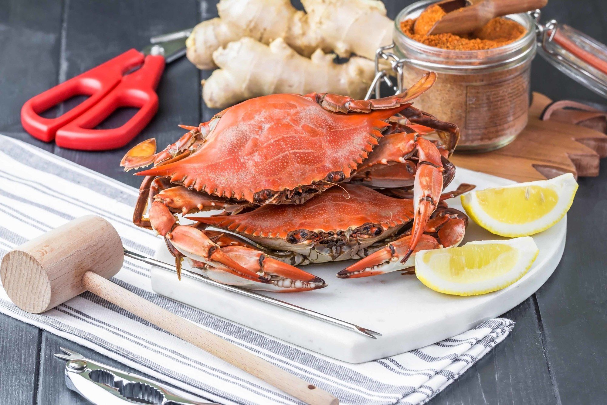 Detail Kepiting Makan Apa Nomer 20