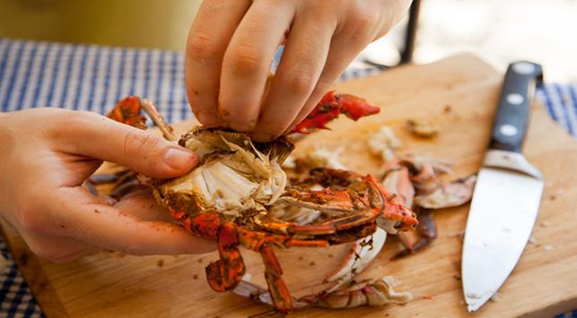 Detail Kepiting Makan Apa Nomer 21