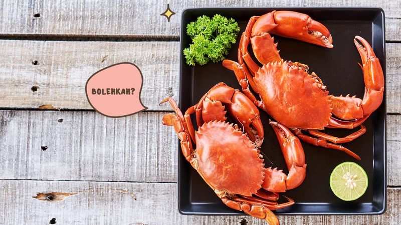 Detail Kepiting Makan Apa Nomer 22