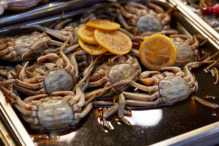 Detail Kepiting Makan Apa Nomer 33