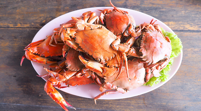 Detail Kepiting Makan Apa Nomer 5