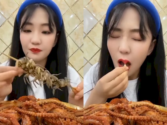 Detail Kepiting Makan Apa Nomer 41