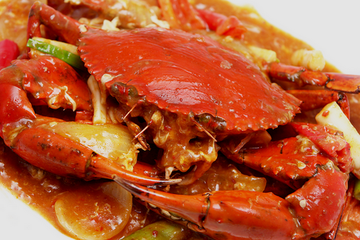 Detail Kepiting Makan Apa Nomer 42