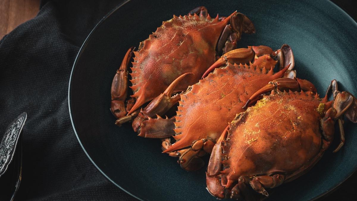 Detail Kepiting Makan Apa Nomer 46