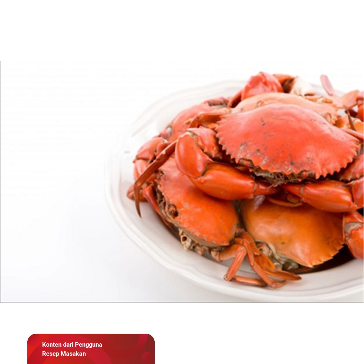 Detail Kepiting Makan Apa Nomer 48