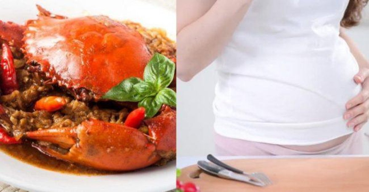 Detail Kepiting Makan Apa Nomer 50