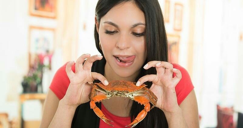 Detail Kepiting Makan Apa Nomer 51