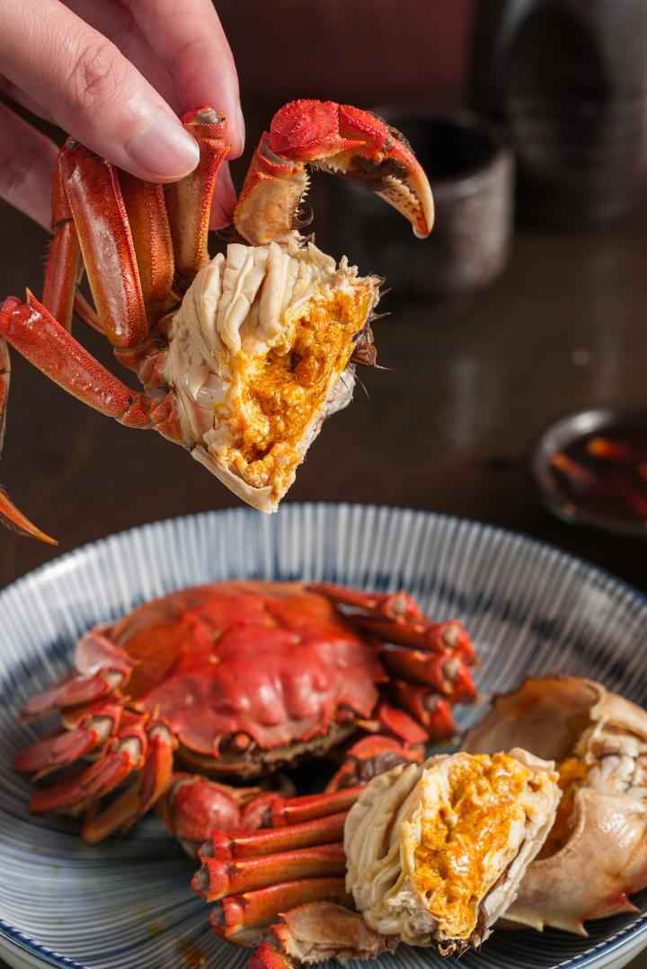 Detail Kepiting Makan Apa Nomer 7