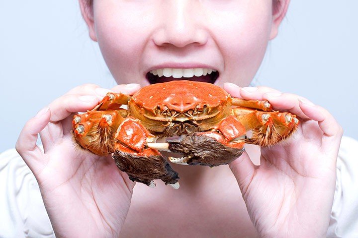 Detail Kepiting Makan Apa Nomer 8