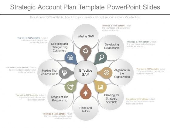 Detail Key Account Plan Template Ppt Nomer 14