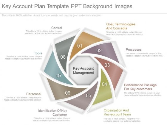 Detail Key Account Plan Template Ppt Nomer 10