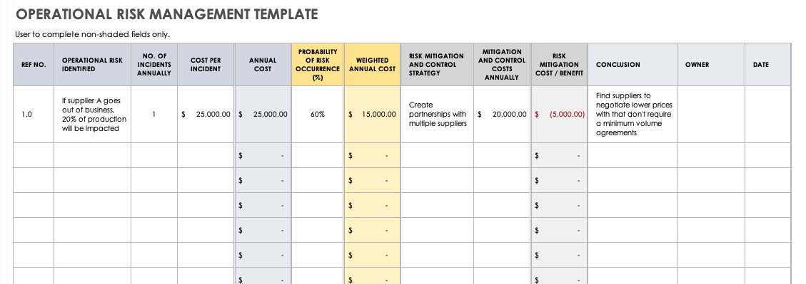 Detail Key Person Risk Management Plan Template Nomer 12