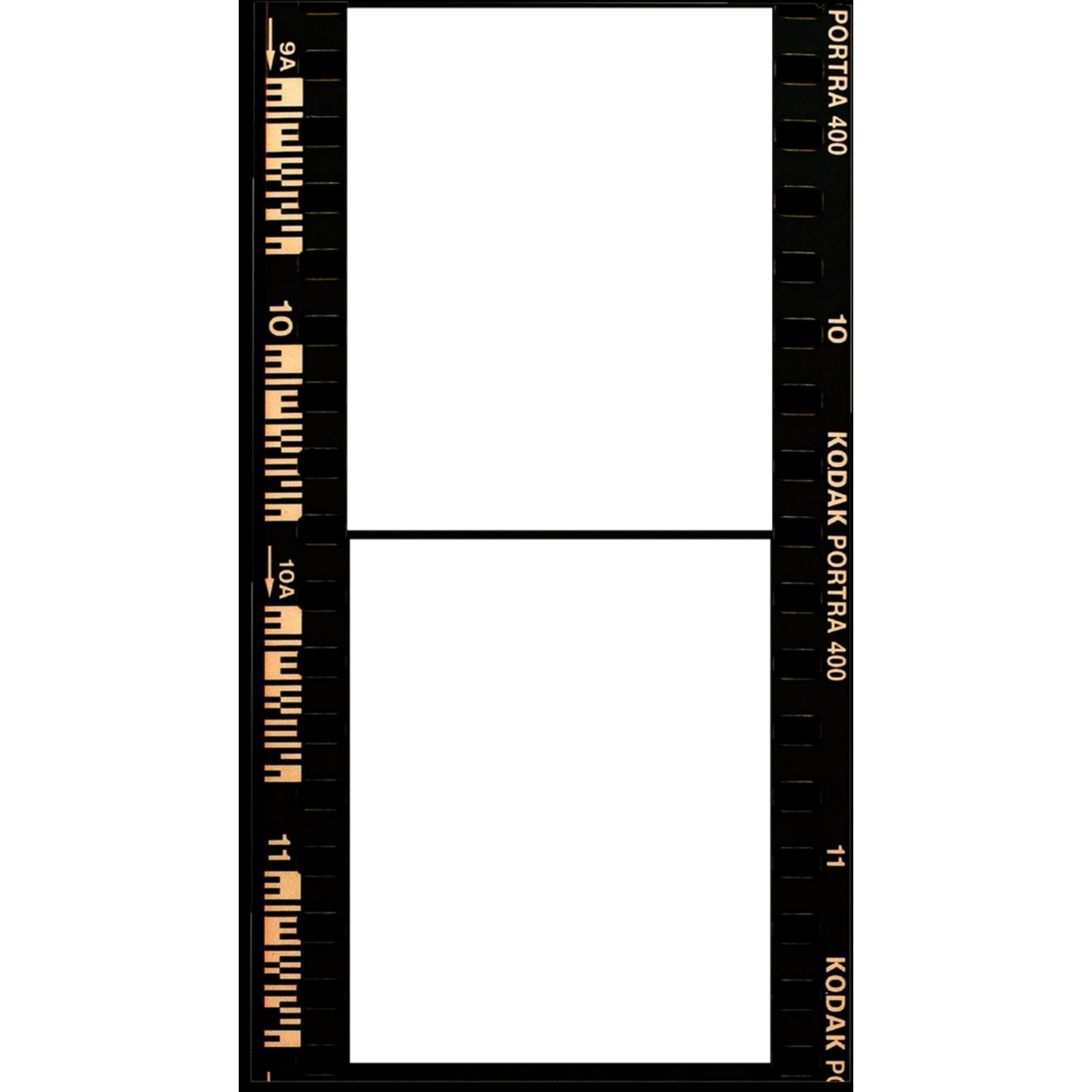 Detail Kodak Frame Template Nomer 5