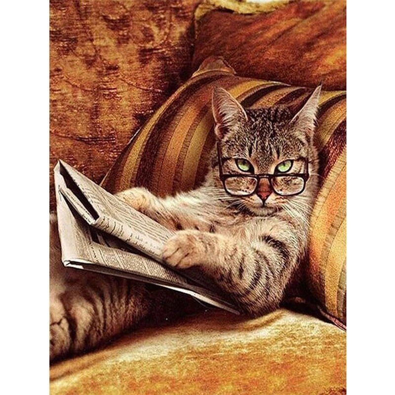 Detail Kucing Baca Buku Nomer 19