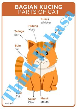 Detail Kucing Bahasa Inggris Nomer 2