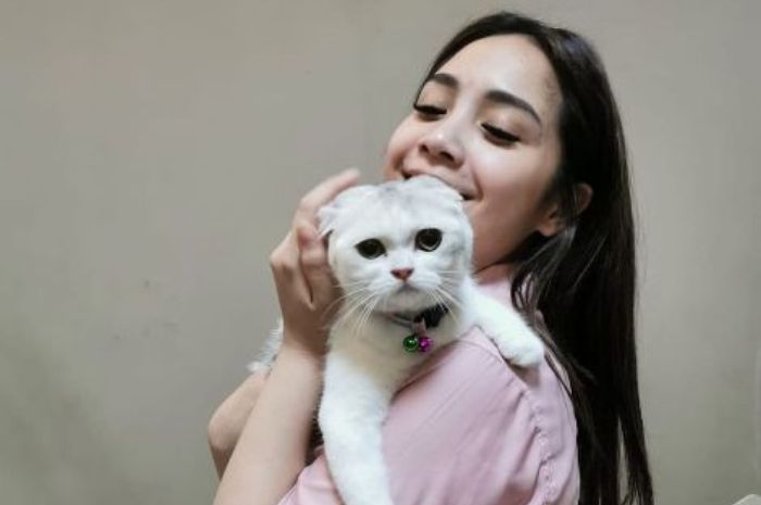 Detail Kucing Berkembang Biak Dengan Cara Nomer 10