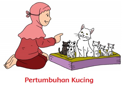 Detail Kucing Berkembang Biak Dengan Cara Nomer 5