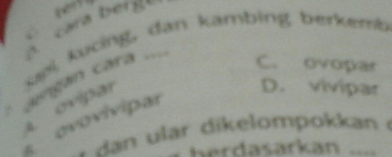 Detail Kucing Berkembang Biak Dengan Cara Nomer 42