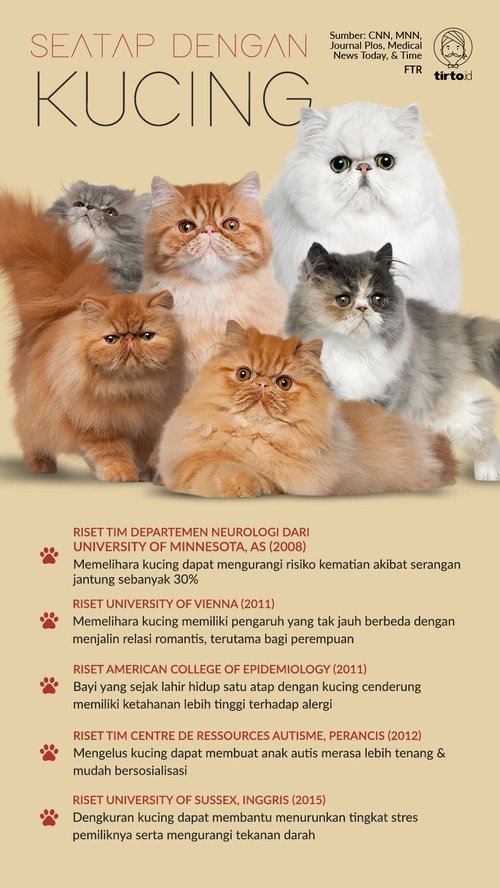 Detail Kucing Kucing Apa Yang Romantis Nomer 49