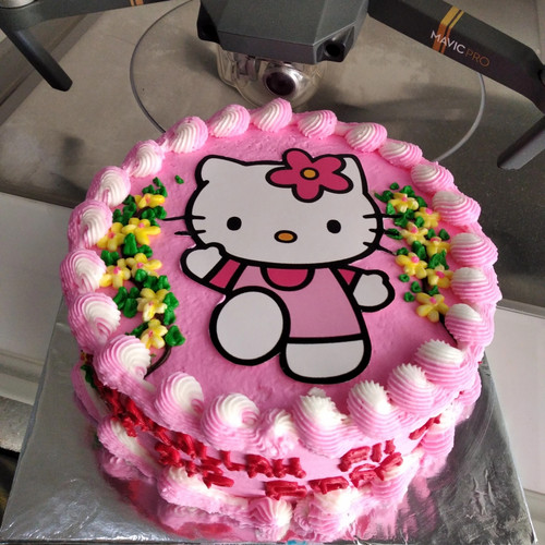 Detail Kue Ulang Tahun Gambar Hello Kitty Nomer 9
