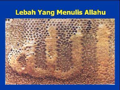 Detail Kumpulan Foto Keajaiban Allah Nomer 24