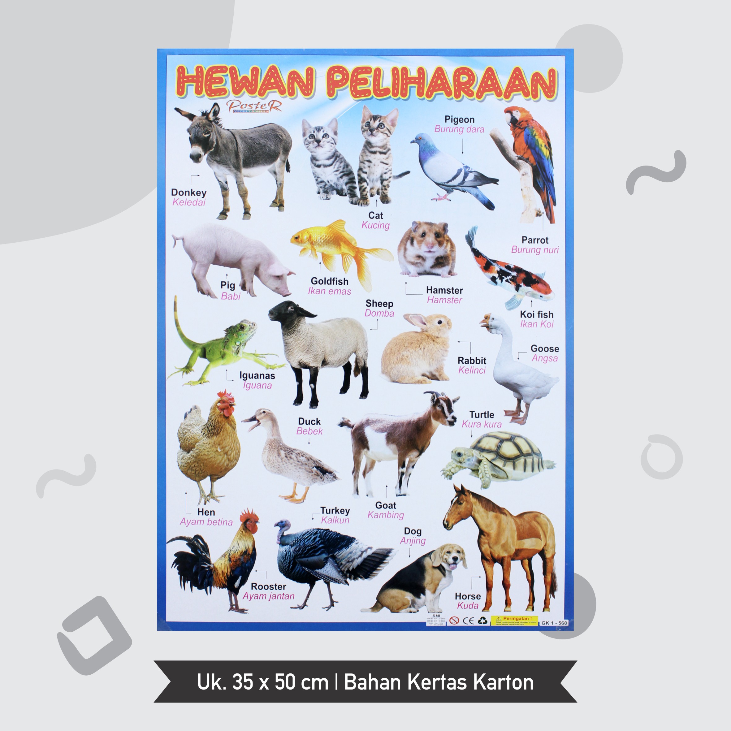 Download Kumpulan Gambar Binatang Nomer 15