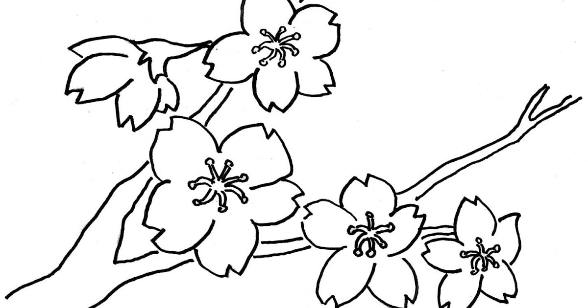 Detail Kumpulan Gambar Bunga Yang Belum Diwarnai Nomer 21