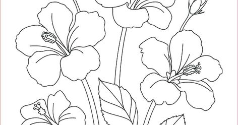Detail Kumpulan Gambar Bunga Yang Belum Diwarnai Nomer 38