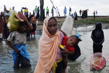 Detail Kumpulan Gambar Gambar Rohingya Nomer 50