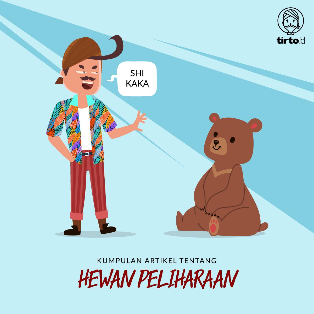 Detail Kumpulan Gambar Hewan Peliharaan Nomer 42