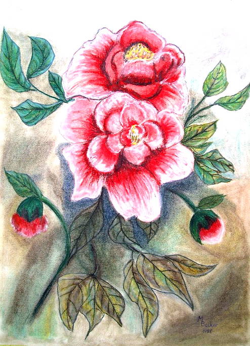 Detail Kumpulan Gambar Kartun Bunga Mawar Nomer 34