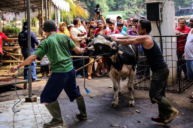 Detail Kumpulan Gambar Orang Berprilaku Jahat Bserta Penjelasan Nomer 38