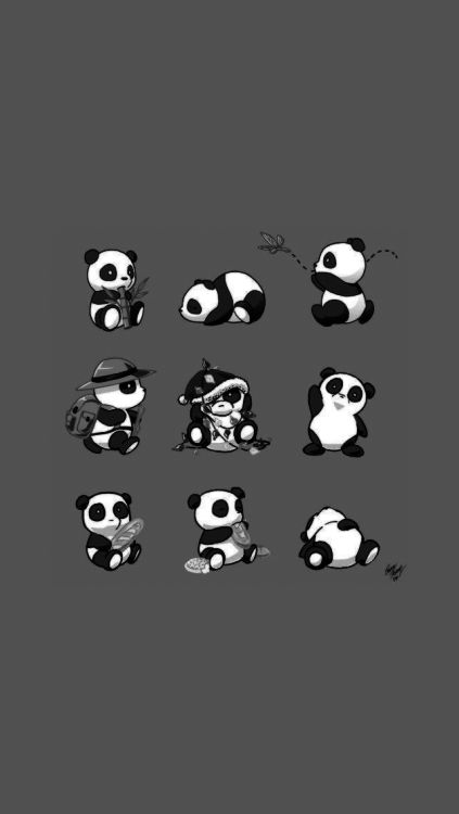 Detail Kumpulan Gambar Panda Nomer 32
