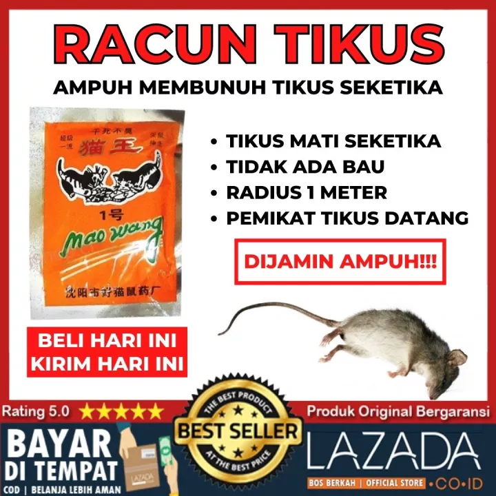 Detail Kumpulan Gambar Tikus Nomer 23