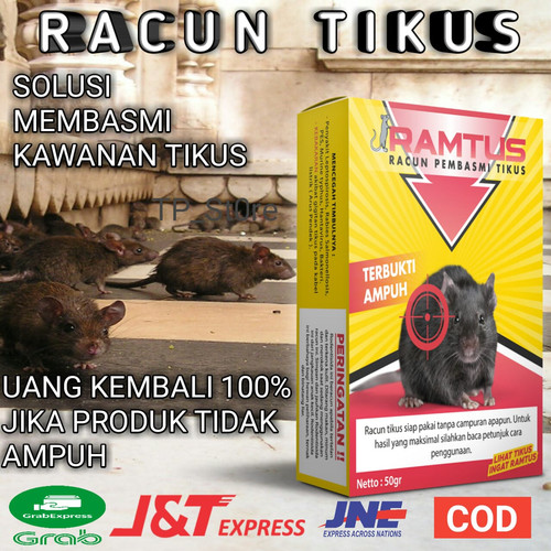 Detail Kumpulan Gambar Tikus Nomer 33