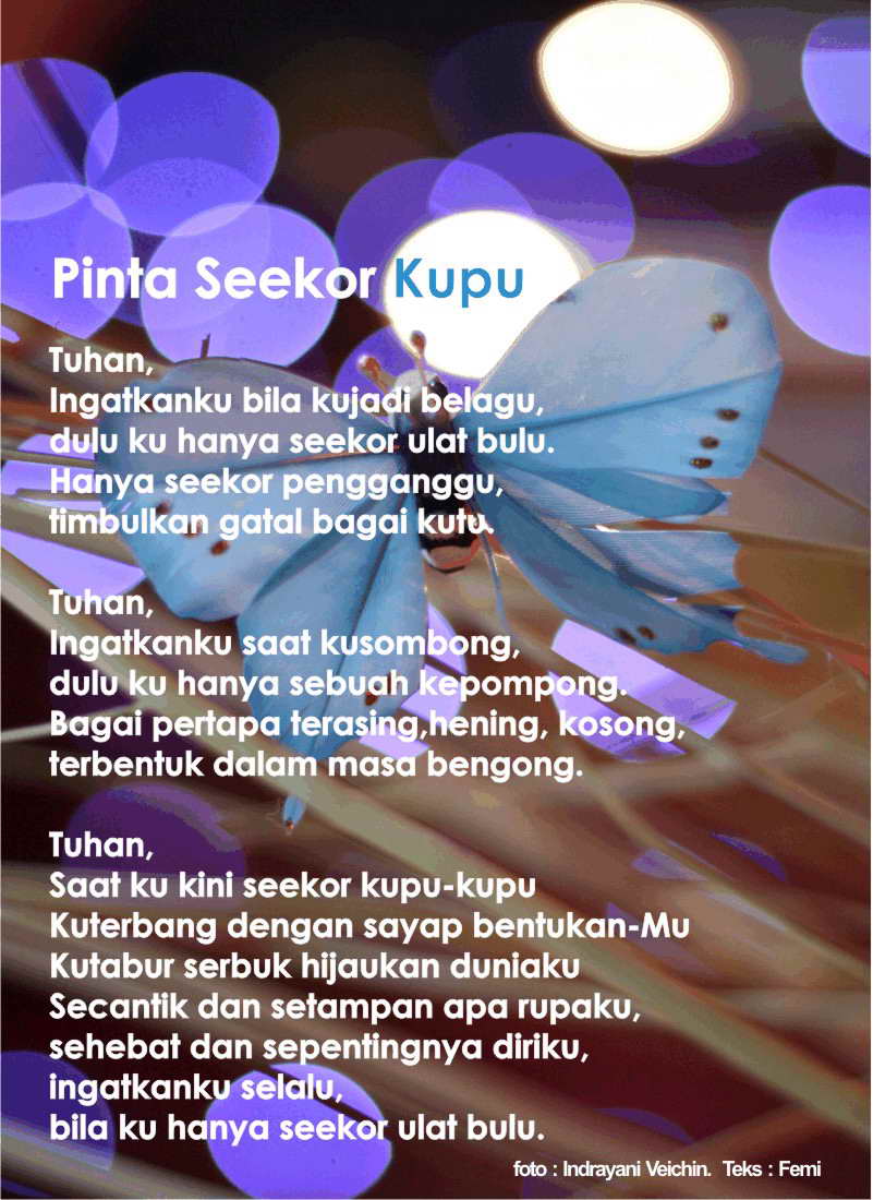 Detail Kumpulan Puisi Tentang Kupu Kupu Nomer 10