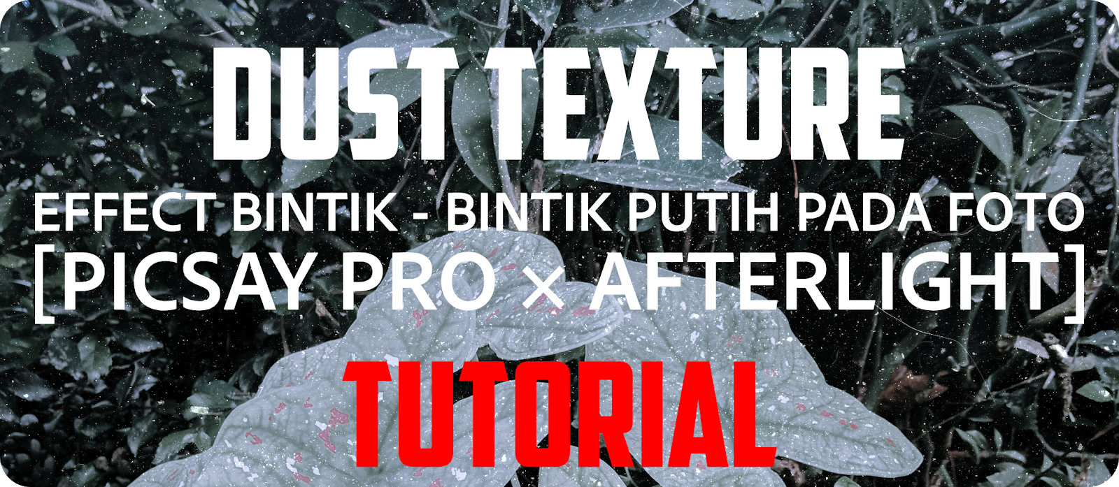 Detail Kumpulan Tutorial Picsay Pro Nomer 46