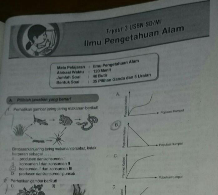 Detail Kunci Jawaban Buku Detik Detik Kelas 6 2017 2018 Nomer 37