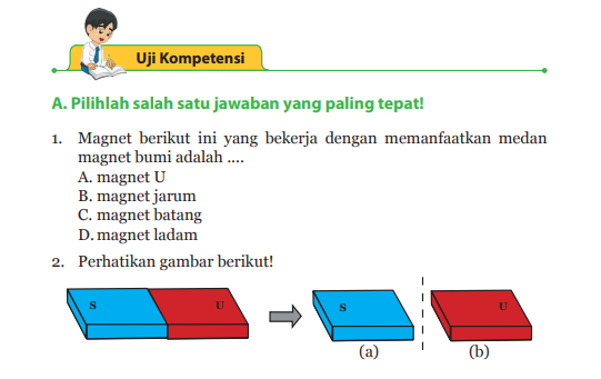 Detail Kunci Jawaban Buku Ipa Kelas 9 Kurikulum 2013 Semester 2 Nomer 38