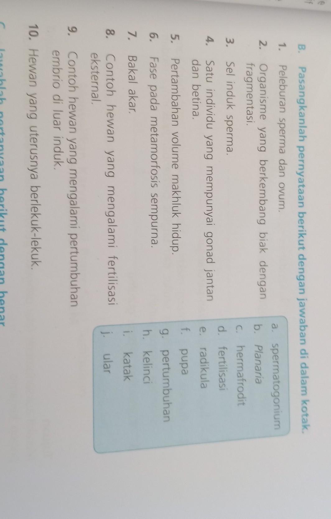 Detail Kunci Jawaban Buku Ipa Terpadu Kelas 7 Penerbit Erlangga Nomer 10