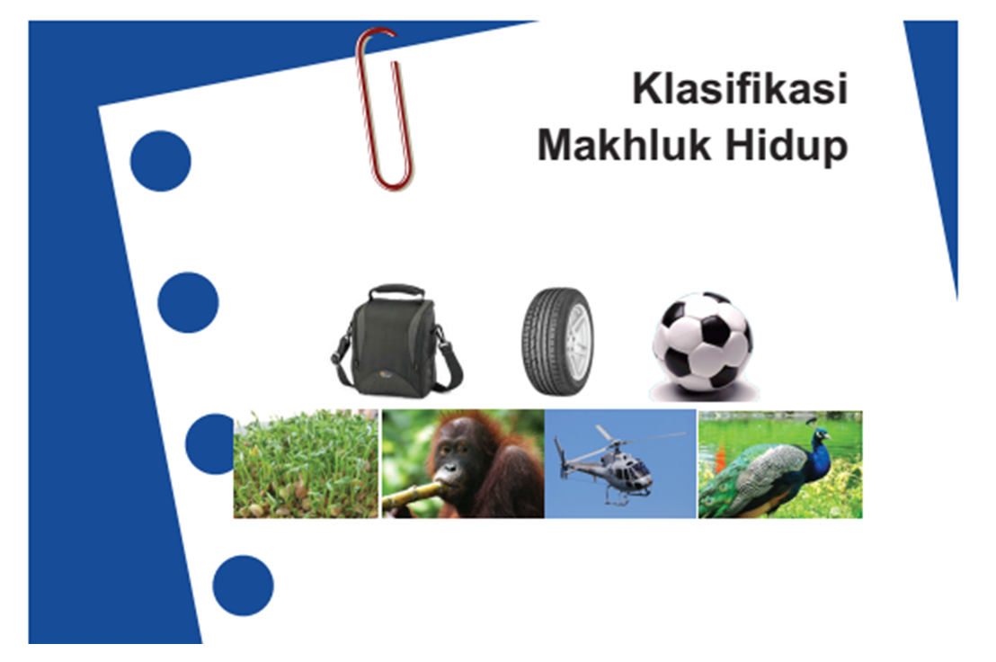Detail Kunci Jawaban Buku Ipa Terpadu Kelas 7 Penerbit Erlangga Nomer 23