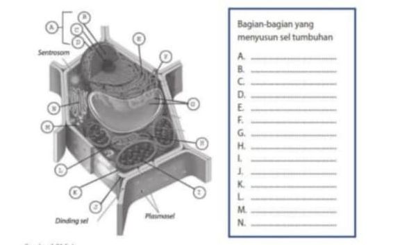 Detail Kunci Jawaban Buku Ipa Terpadu Kelas 7 Penerbit Erlangga Nomer 30