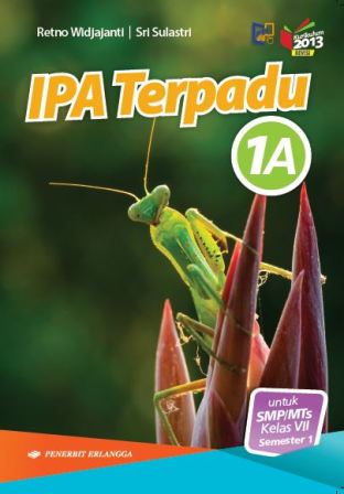 Detail Kunci Jawaban Buku Ipa Terpadu Kelas 7 Penerbit Erlangga Nomer 31