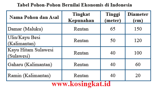 Detail Kunci Jawaban Buku Lks Matematika Kelas 7 Semester 1 Nomer 20